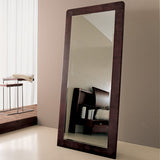 Mirrors